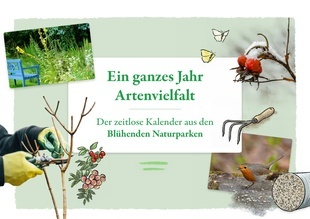 Titelbild "Zeitloser Kalender Blühende Naturparke" Titelbild "Zeitloser Kalender Blühende Naturparke"